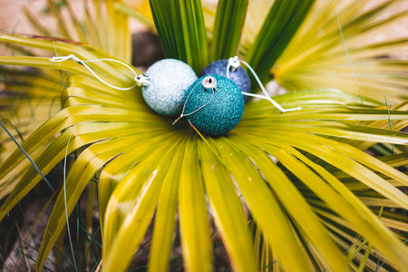 Christmas baubles on tropical palm tree in sunny backyard, concept of festive season in warm places...