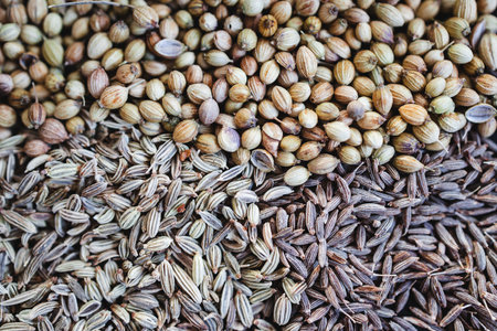 cumin coriander and fennel seeds close-up, traditional ayurvedic blend for digestion gut health and bloatingの写真素材