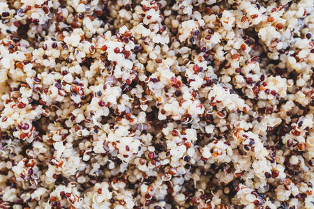 tricolor quinoa close-up, concept of simple natural healthy ingredientsの写真素材