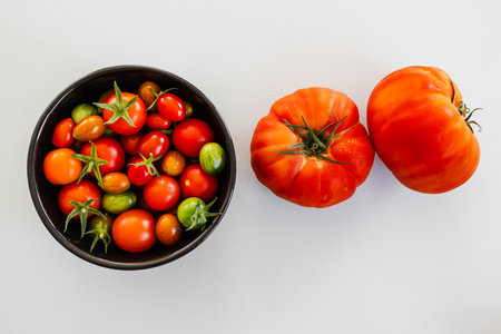 freshly picked tomatoes and bell peppers big and small , concept of simple natural healthy ingredients from the gardenの写真素材