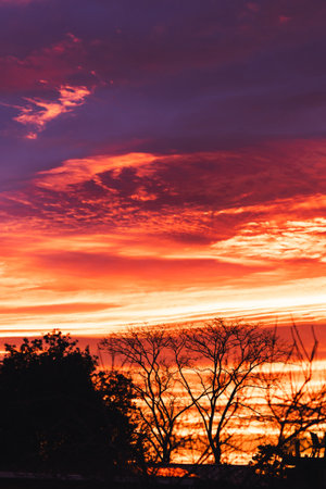 intense golden and pink sunrise clouds glowing over a quiet suburban backyard in australia