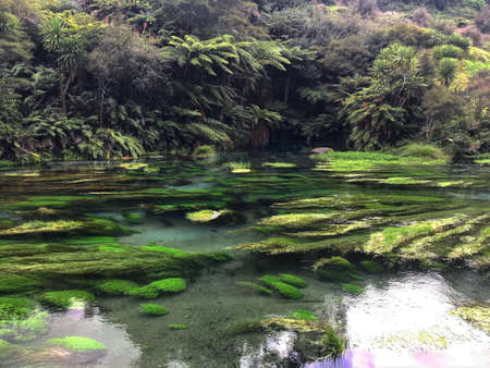 Crystal clear river