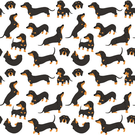 dachshund pattern,dog poses,dog breed,seamless pattern backgroundのイラスト素材