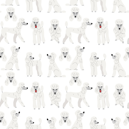 poodle pattern,dog poses,dog breed,seamless pattern backgroundのイラスト素材