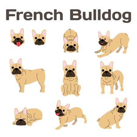 French bulldog illustration, dog posesのイラスト素材