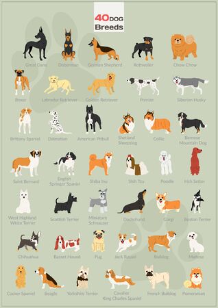 40 dog breeds posterのイラスト素材