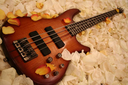 guitar amidst rose petalsの写真素材