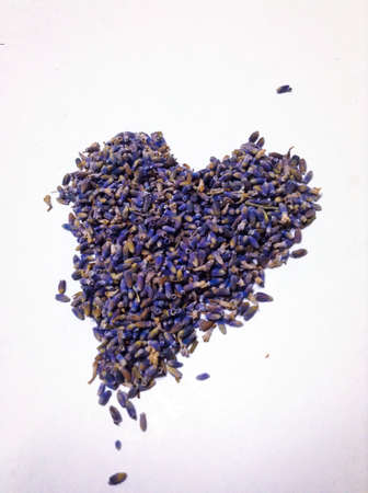 Lavender in a heart shape design on a white backgroundの素材