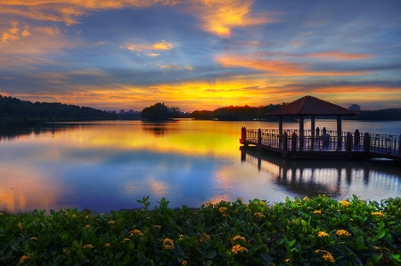 Wetland Putrajaya, Malaysiaの写真素材