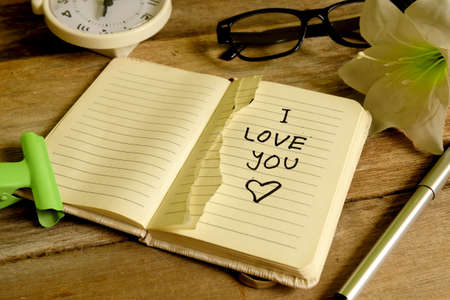 Love,wedding and valentine concept for blog title and header. Vintage and retro look.Top view of...