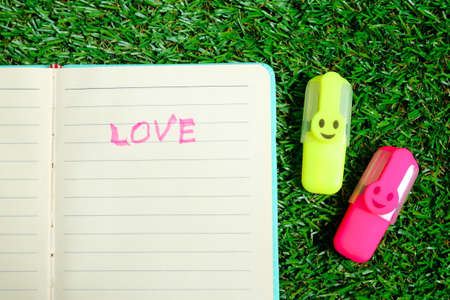 Valentine's day theme. A book written with 'LOVE' with  pink and yellow highlighter on grass background.の写真素材
