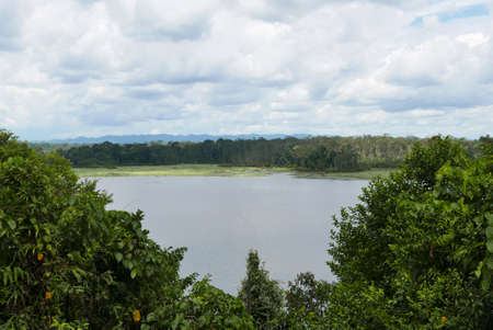 A forest lake with a blue cloudy sky.