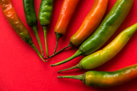 Chili pepper on a red background.の写真素材