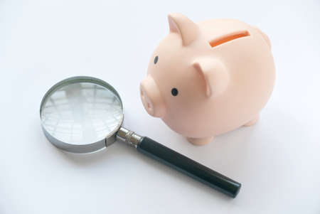 Magnifying glass and piggy bank isolated on a white background. Business and finance concept.の写真素材