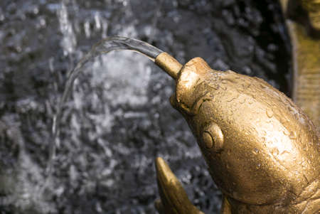 A golden fish statue of water fountain.の写真素材