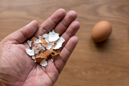 A hand holding an eggshell.の写真素材
