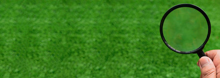Magnifier in hand, panoramic mock-up image over a green grass background.の写真素材
