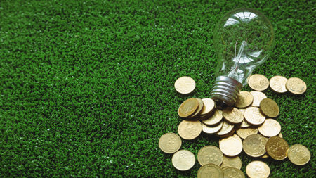 Light bulb and the gold coins on the green grass.The concept of energy saving, renewable energy and environmentally friendly.の写真素材