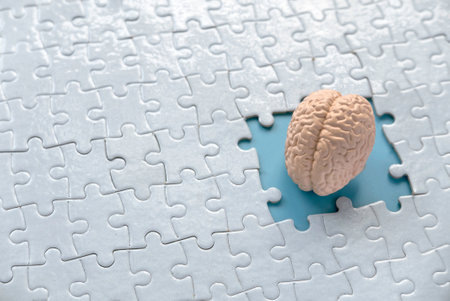 Concept of autism, memory loss, dementia and alzheimer awareness, world mental health day. brain model inside a missing piece of puzzle.の写真素材