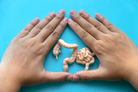 Concept of Colonic disease,Irritable bowel syndrome,Large Intestine,Ulcerative colitis, Diverticulitis,Colorectal cancer and Digestive system.Treatment and prevention of constipation and diarrhea.の写真素材