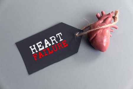 Heart Failure Concept with Anatomical Heart Model and Tagの写真素材