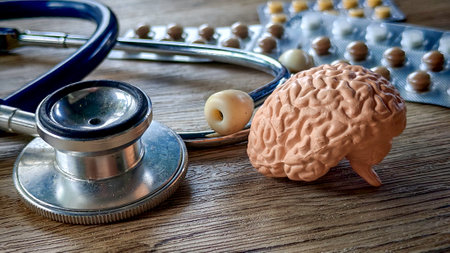 Miniature Brain Model with a Stethoscope