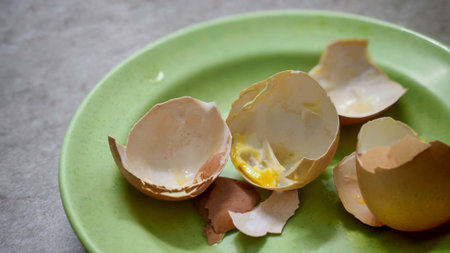Close-up of broken egg shells on a green plate, with a hint of yolk and kitchen counter visible.
