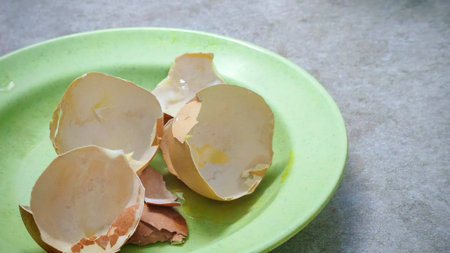 Close-up of broken egg shells on a green plate, with a hint of yolk and kitchen counter visible.