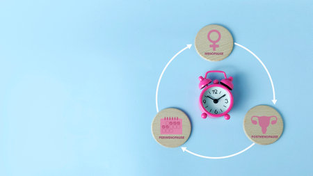 Women's Hormonal Health Cycle: Perimenopause to Postmenopause Stages with Symbols and Alarm Clockの写真素材