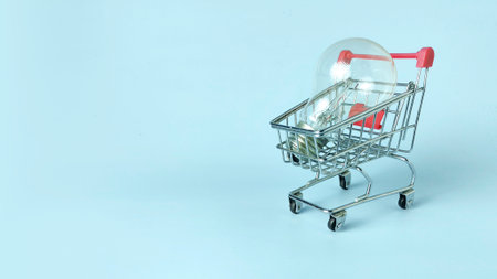 Idea Shopping and Buying Innovation Concept: Light Bulb Inside a Miniature Shopping Cartの写真素材