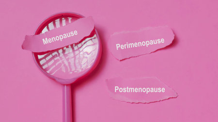 Magnifying glass highlighting Menopause phase with Perimenopause and Postmenopause, symbolizing research, diagnosis, and the stages of female transition.の写真素材