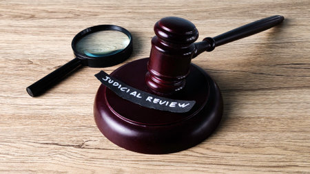 Judicial Review legal concept with a judge's gavel and magnifying glass, symbolizing in-depth legal scrutiny and constitutional oversight.の写真素材