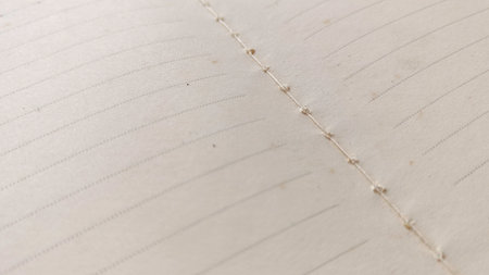 Close-up Macro View of Open Lined Journal Pages Showing Visible Spine Stitching and Hand-Crafted...