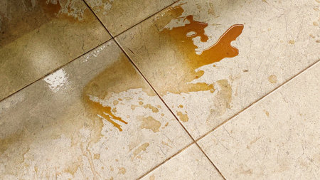 Brown Liquid Spilled on Ceramic Floor Tiles in Kitchen or Bathroom Concept of Messy Home Accident Dirty Surface and Professional Cleaning Service Neededの写真素材