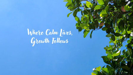Where Calm Lives Growth Follows Text on Clear Blue Sky with Sunlit Green Foliage and Copy Spaceの写真素材
