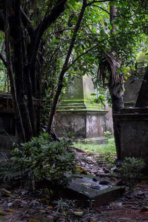 Old English cemetery in Kolkata overgrown with vegetationの写真素材