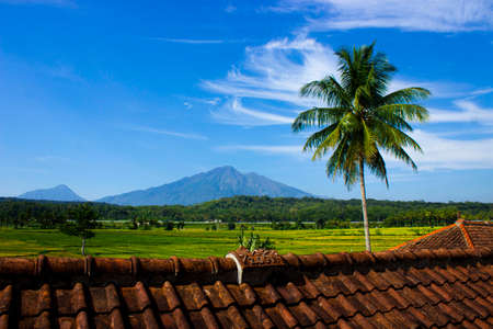 the beauty of rice fields, with mountains, salatigo tollways, coconut trees with blue sky in photos from the rooftop.の写真素材