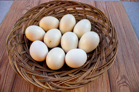 egg on basket
egg free-range chicken or egg village chicken or egg ayam kampong on  basket isolated on wood backgroundの写真素材