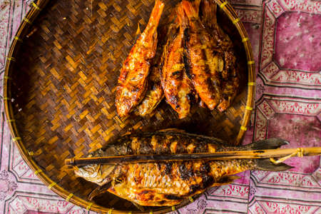 grilled fish Â Nile Tilapia on charcoal grillの写真素材