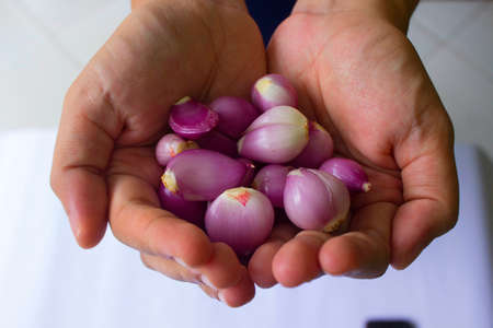 red onion and garlic on white background