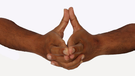 hand mudras. It includes such mudras,. Gestures is isolated on white background.の写真素材
