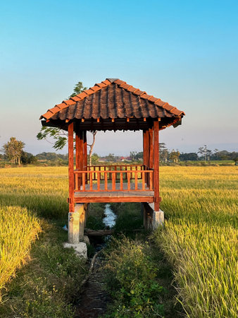 hut. Traditional farmer hut in the middle of rice fields in Asia. gazebo, pergola, shack, hovel, cottage in the rice fieldsの写真素材