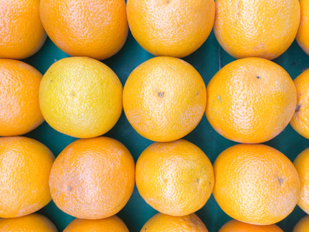 orange fruit on a green background