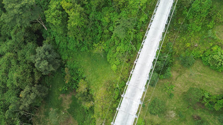 bridge over a forest with a road running through it. The road is empty and the bridge is made of metalの写真素材
