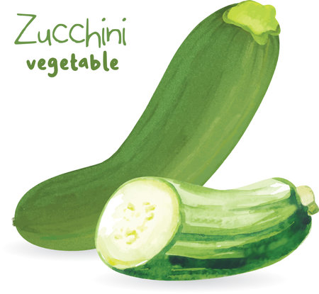 Zucchini Veggetable Letter Z Cartoonのイラスト素材