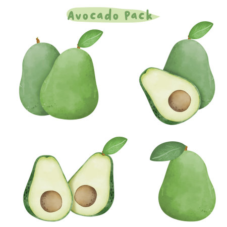 Avocado set. Hand drawn watercolor illustration. Isolated on white background.のイラスト素材