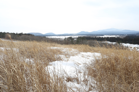 View on top of hill, covered with mountain and evergreen during the winterの写真素材