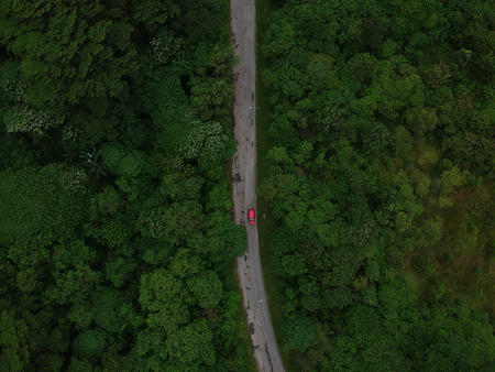 Aerial view of car driving through the forest on country road.の写真素材