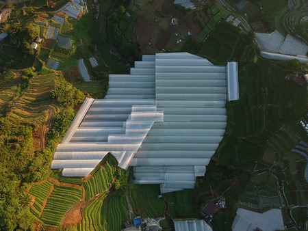 Aerial view green house for farm during sunriseの写真素材