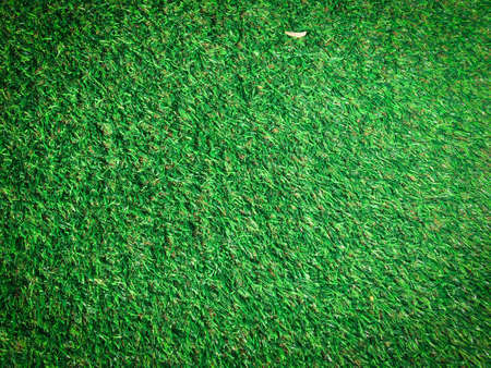 Artificial green grass texture background with copy space for work and design, Top viewの写真素材